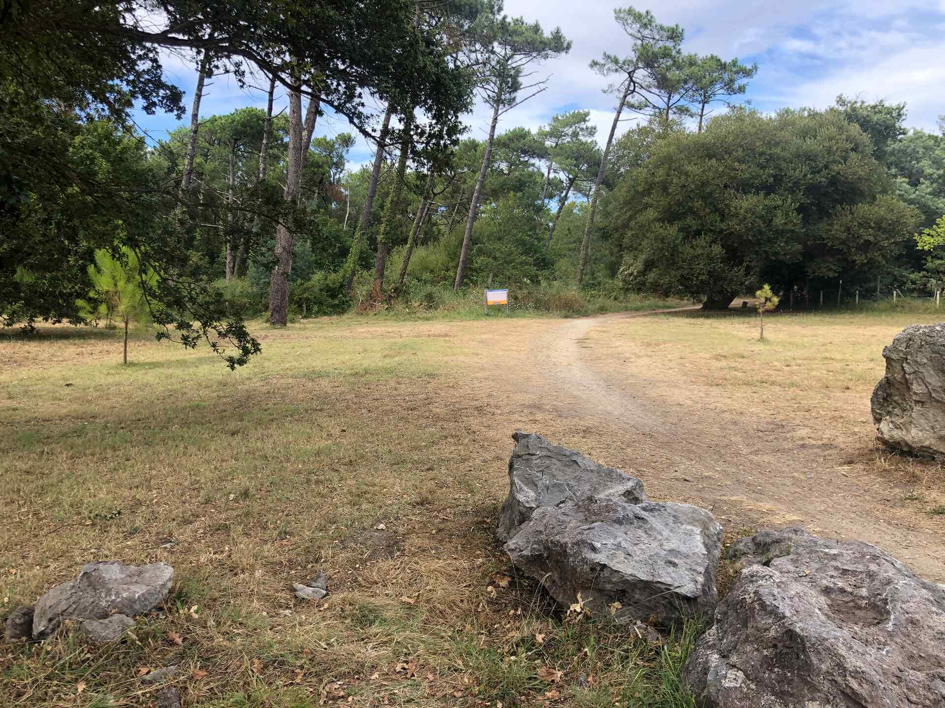 Accès direct à la forêt devant le logement