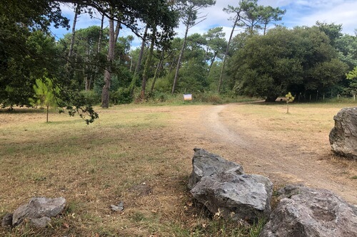 Direkter Zugang zum Wald vor dem Haus