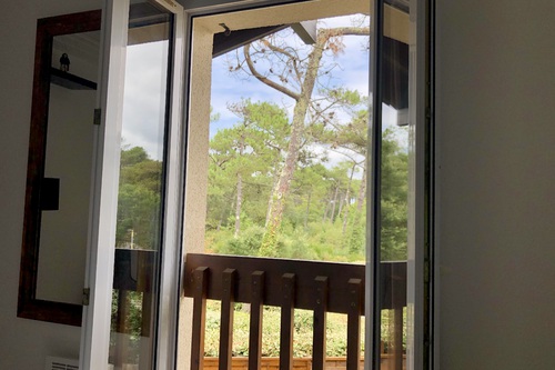 Direkter Blick auf den Wald vom Schlafzimmer aus